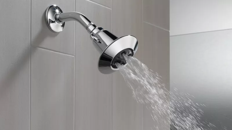 Delta 75152 Shower Head | $17 | Amazon | Clip the 15% coupon